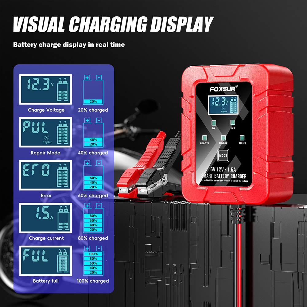 FOXSUR 6V 12V Automatyczna int – Lifepo4 Battery Charger Smart Automatic recenzja i cena